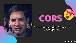 CORS w pigułce   działanie i naprawa