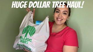 DOLLAR TREE HAUL! Jan 2022 | Irmita Santos