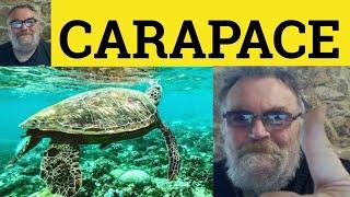  Carapace Meaning - Carapace Examples - Carapace Definition - Formal Vocabulary Carapace