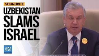 Uzbekistan Urges Humanitarian Aid for Gaza and Lebanon at Arab-Islamic Summit | Dawn News English