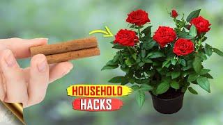 15 MAGICAL HOUSEHOLD GARDEN HACKS | GARDENING TRICKS & TIPS