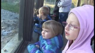 Zooschool Preschoolers Help the Bears