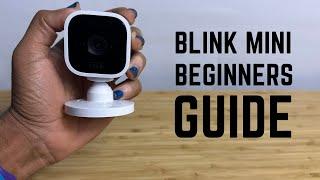 Blink Mini - Complete Beginners Guide