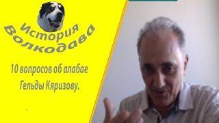 Какой он чистокровный алабай?  Гельды Курбанович Кяризов гость канала История Волкодава. Часть 1.