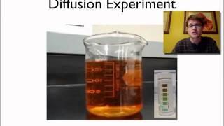 Diffusion Demo