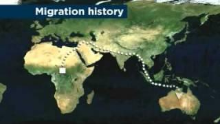 Aboriginal DNA provides human migration clues