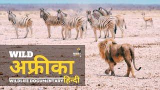 Wild Africa - हिन्दी डॉक्यूमेंट्री | Wildlife documentary in Hindi
