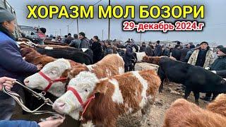 ХОРАЗМ МОЛ БОЗОРИ ЁШ ХЎКИЗЛАР НАРХЛАРИ 29-декабря 2024 г.