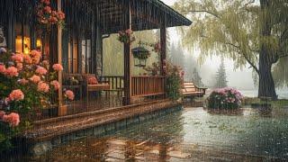 Spring Morning Ambience With Relaxing rain in the spring garden - The sound of nature for sleeping