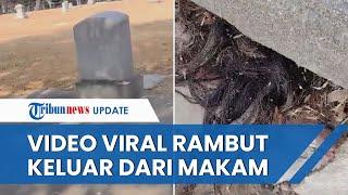 Viral Video Pria Temukan Rambut Keluar dari Kuburan Tua, Begini Penampakannya