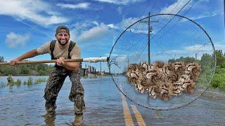 Scooping Up SHRIMP at a FLOODED HIGHWAY (Catch and Cook)