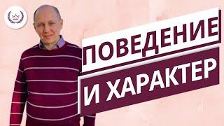 Поведение и характер. Виды поведения, которые развивают характер