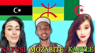 Can Kabyle, Nafusi & Mozabite Amazighs (Berbers) Understand Each Other?