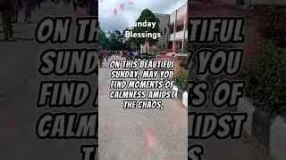 Sunday Blessings #viralvideo #motivation #foryou #morningprayer #love #viralshorts #fyp