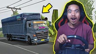 TRUK HINO TAM CRAGO MBOIS SUMATERA JAMBI - PEKANBARU - ETS2