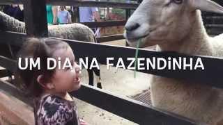 Um dia da fazendinha (vídeo blog)