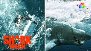 Shark Attack! Diver Swims for His Life! | Great White Open Ocean | discovery+