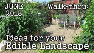 2018 June Urban Garden / Edible Landscaping Tour + Plant & Book Ideas (Albopepper Walk-thru)