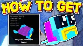 HOW TO GET BABY POND EMPEROR in FISCH! ROBLOX