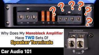 Your MONOBLOCK Amplifier has TWO SETS of Speaker Terminals - WHY???