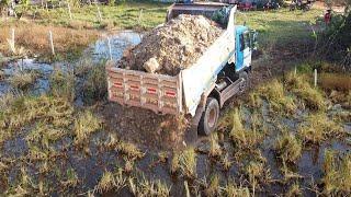 Start incredible new PROJECT! Power machinery, dump trucks & dozer fill-up dirt into new PROJECT