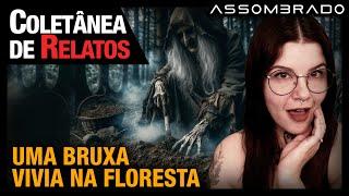 A SENHORA DO CEMITÉRIO, A BRUXA NA FLORESTA, UM FANTASMA NA FARMÁCIA E MUITO MAIS! - COLETÂNEA