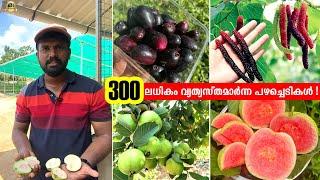  50 കൊല്ലത്തിന് മേൽ പഴക്കമുള്ള ഏറ്റവും വലിയ നഴ്സറികളിൽ ഒന്ന് ! 300 ലധികം വ്യത്യസ്തമായ Fruit Plants