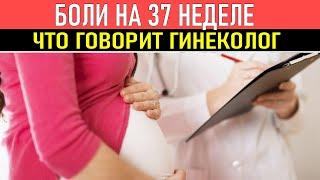 ПРИСЛУШАЙСЯ К ЭТИМ СОВЕТАМ ГИНЕКОЛОГА: Беременность на 37 неделе