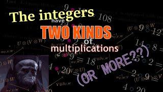 The integers have TWO KINDS of multiplications (OR MORE??)