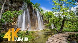 4K Virtual Walking Tour around Plitvice Lakes, Croatia - Amazing Nature Scenery with Soothing Sounds