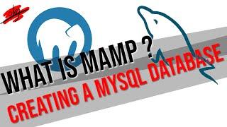 What is MAMP? and Creating a MySQL Database (Junior Dev)