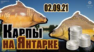 Карпы на Янтарке 02.09.21 Фарм Русская рыбалка 4 РР4 РЫБОКИТ  Карп Янтарное