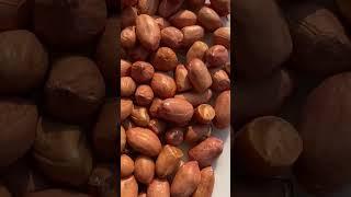 Premium Quality Raw Peanuts G-20 Size 50/60, Groundnuts, Surat