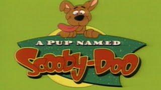 A Pup Named Scooby-Doo (Theme Song)