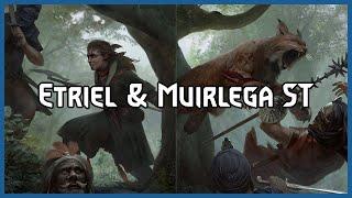 Etriel Muirlega in ST Devotion Schirru | Gwent Pro Rank Gameplay