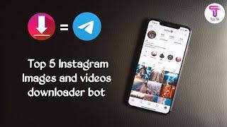 Top 5 bots in telegram for downloading Instagram images and videos || Tips Tik || Telegram Tips