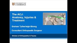 The Acromioclavicular Joint