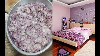Cut An Onion And Leave It In Your Room, and Feels the Amazing Effects