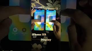 iPhone 11 LCD display vs iPhone XR LCD display ️