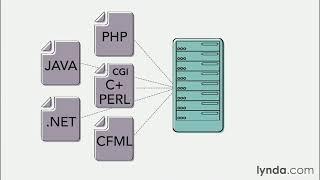 Web Development Tutorial - Server-side scripting