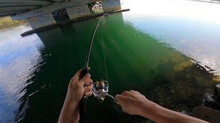 Fishing An Old Bridge | Trevally Mania