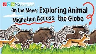 On the Move: Exploring Animal Migration Across the Globe