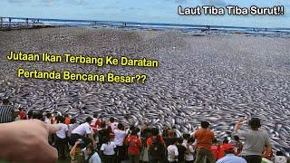 Laut Mendadak Surut, Jutaan Ikan Tiba-Tiba Muncul! Pertanda Megathrust??