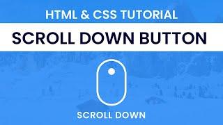 Scroll Down Button | HTML & CSS Tutorial | With Source Code