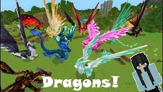 Taming 500 DRAGONS in Minecraft!  Dragons ++ Epi 1: The Beginning