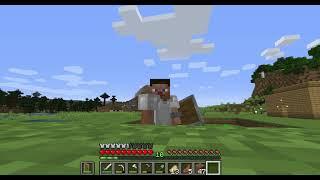 MINECRAFT SURVIVAL #2