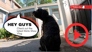 Minto Show Vlog 4 Sept 2022