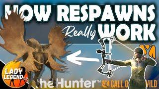 HOW RESPAWNS Really WORK in Call of the Wild 2023/24!!!