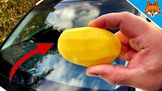 Rub your Windshield with a POTATO and WATCH WHAT HAPPENS  (Amazing) 