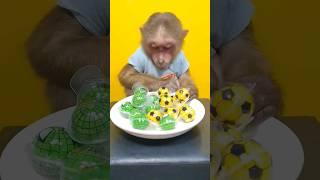 Monkey Reviews Green Spider Candy and Yellow Balls#shorts, #monkey